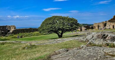 Urlaub auf Bornholm - Ruine Hammershus