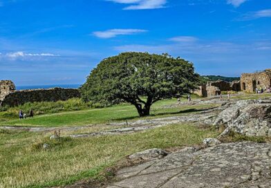 Urlaub auf Bornholm - Ruine Hammershus