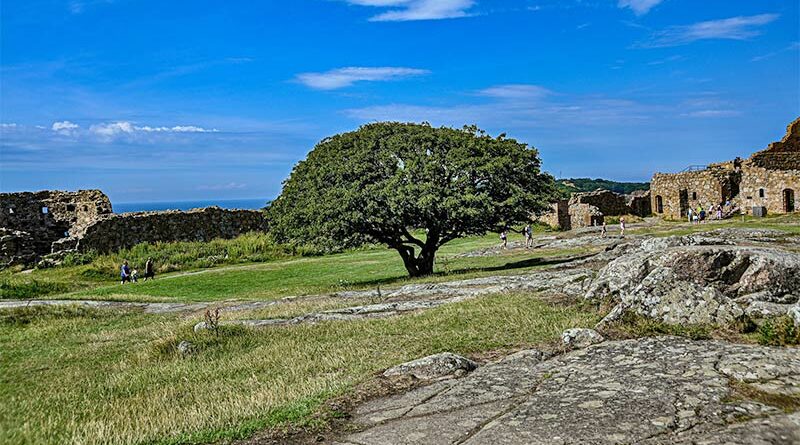 Urlaub auf Bornholm - Ruine Hammershus