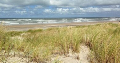 Badeurlaub auf Langeland