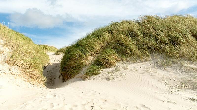 Badeurlaub auf Römö